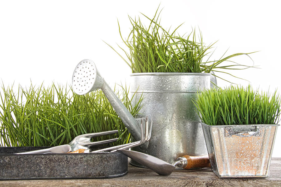 Abstract Photograph - Garden tools and watering can with grass by Sandra Cunningham