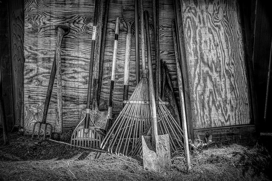 Garden Tools Photograph by Bill Posner