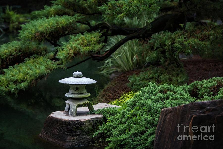 Japanese Garden Photograph - Garden Tranquility by Doug Sturgess