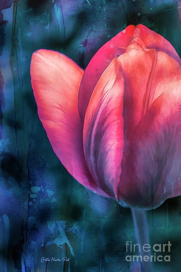 Garden Tulip Digital Art by Jutta Maria Pusl