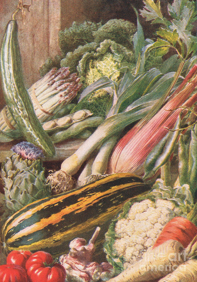 Vegetable Painting - Garden Vegetables by Louis Fairfax Muckley