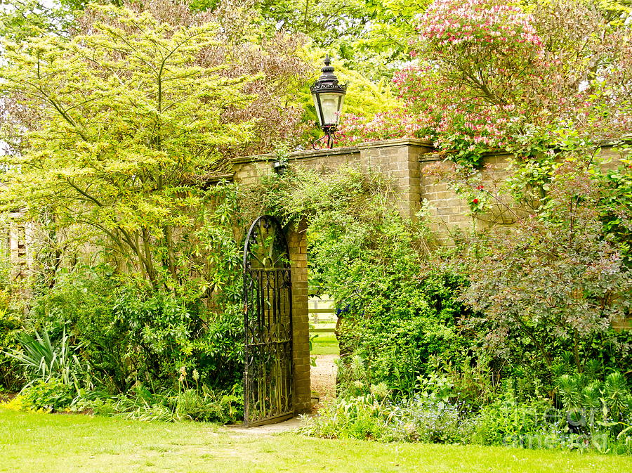 Garden Wall With Iron Gate And Lantern. Photograph by Elena Perelman