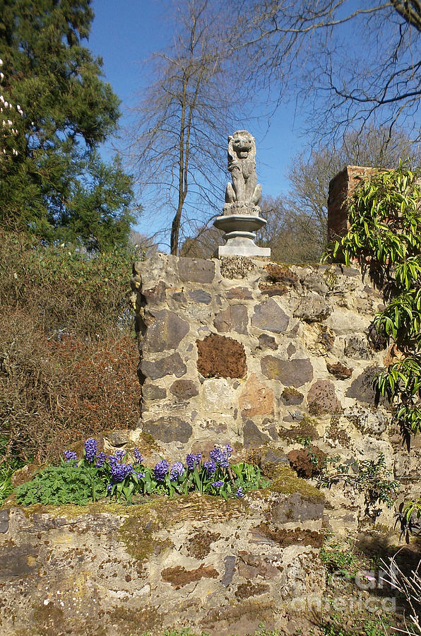 Garden wall with lion Photograph by Francesca Mackenney