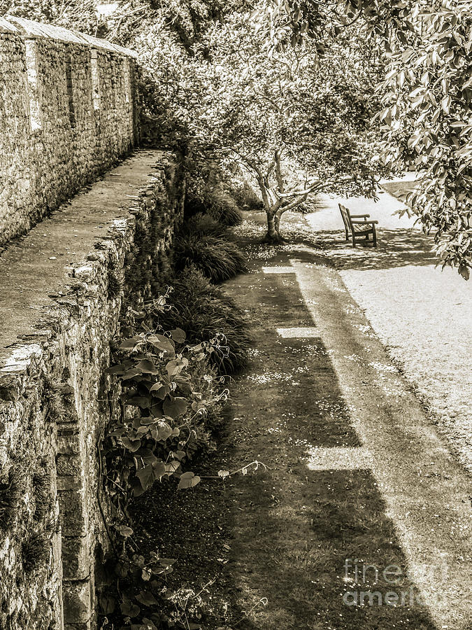 Garden Walls - Bishops Palace Wells England Photograph by Lexa Harpell