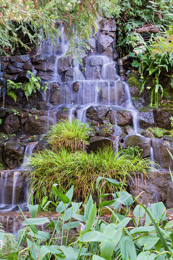 Garden Waterfall Photograph by Jim Thompson