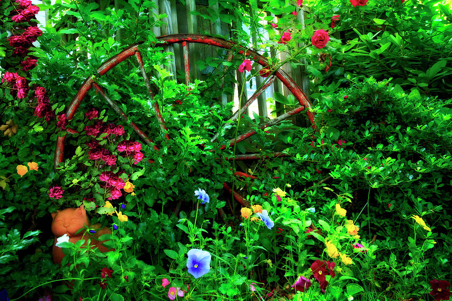 Garden Wheel Photograph by Debra and Dave Vanderlaan