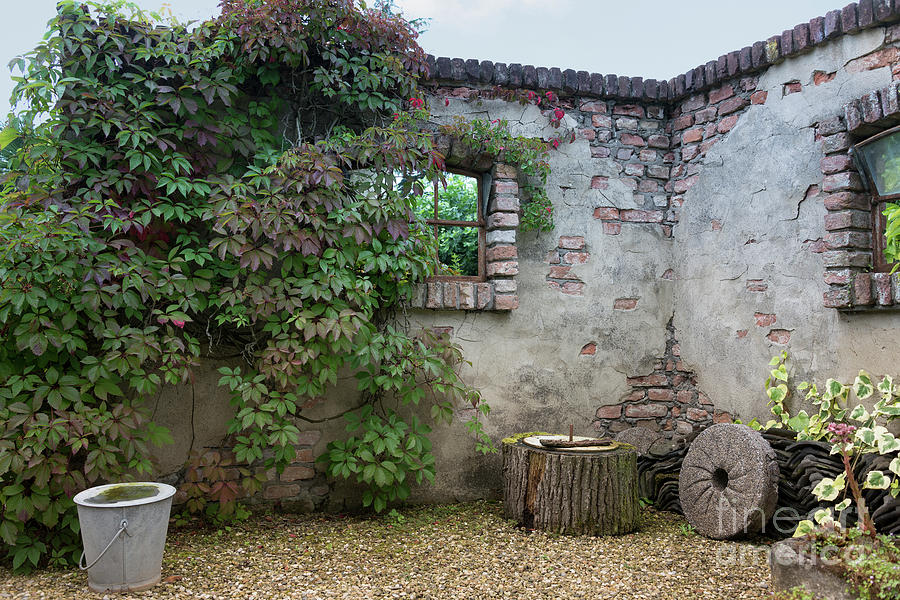 Garden With Old Wall And Flowers Photograph