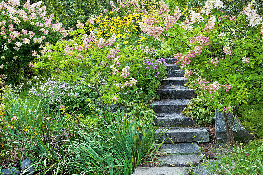Garden With Stone Steps Photograph by Alan L Graham
