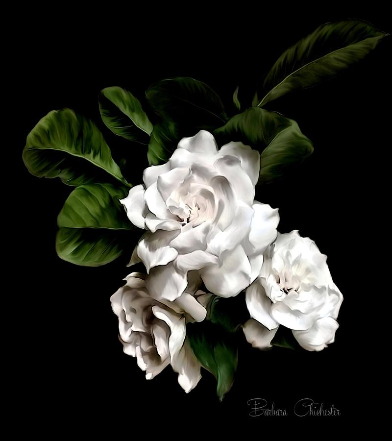 Gardenia Art Paintography Mixed Media by Barbara Chichester