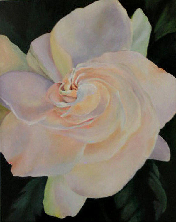 Flowers Still Life Painting - Gardenia by Susan M Fleischer