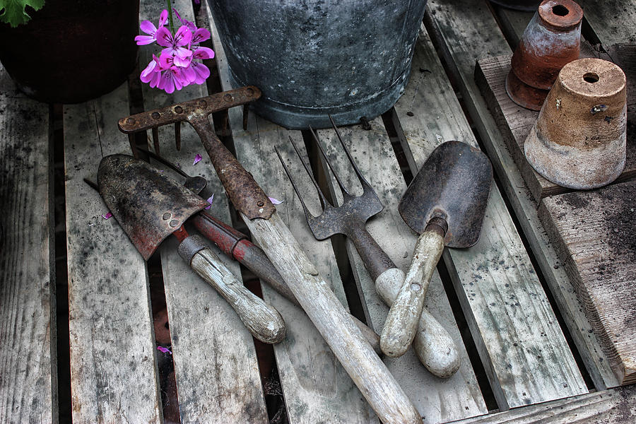 Gardening Tools Photograph