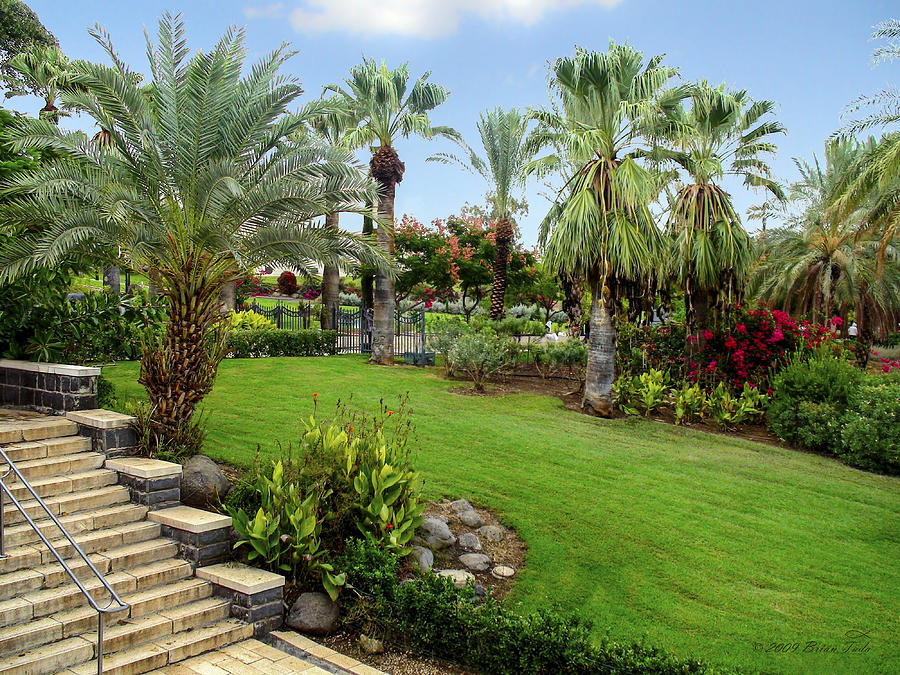 Gardens At Mount Of Beatitudes Israel Photograph by Brian Tada