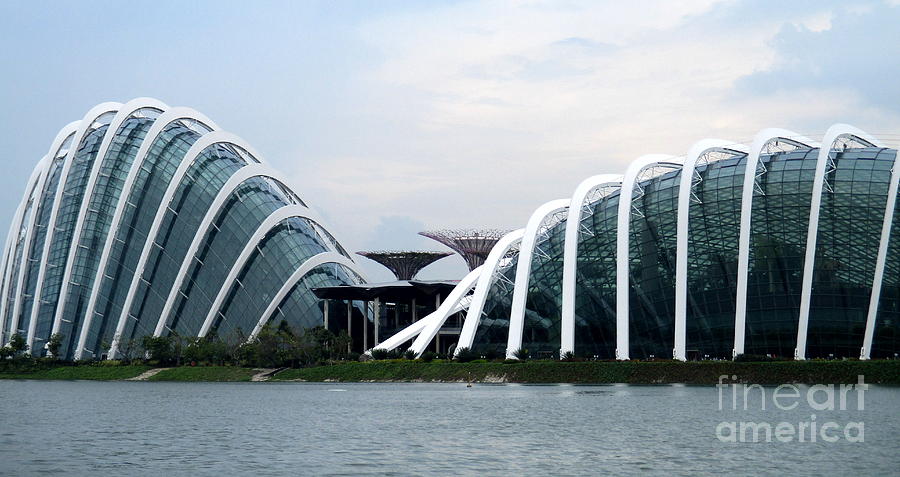 Gardens By The Bay 2 Photograph by Randall Weidner