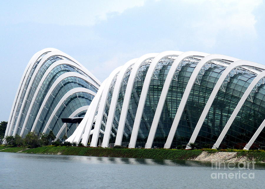 Gardens By The Bay 3 Photograph by Randall Weidner