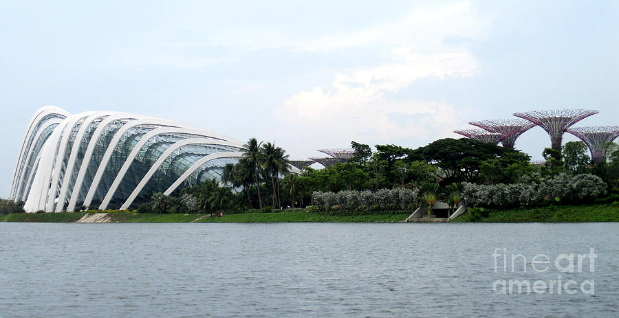 Gardens By The Bay 4 Photograph by Randall Weidner