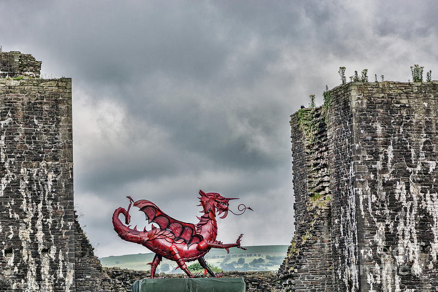 Gareth The Dragon 1 Photograph by Steve Purnell