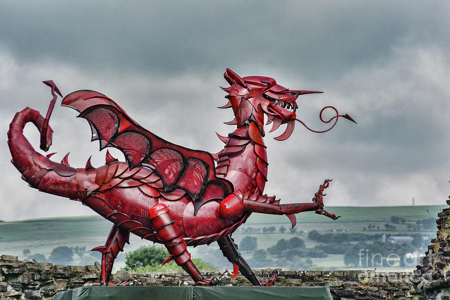 Gareth The Dragon 2 Photograph by Steve Purnell