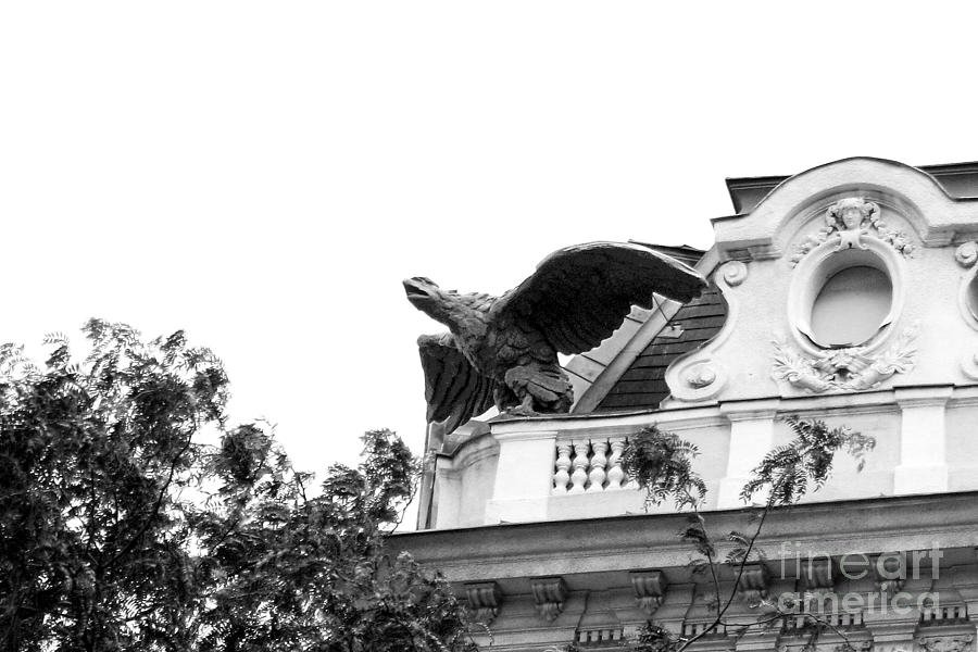 Romanesque Photograph - Winged Gargoyle in Black and White by Angela Rath