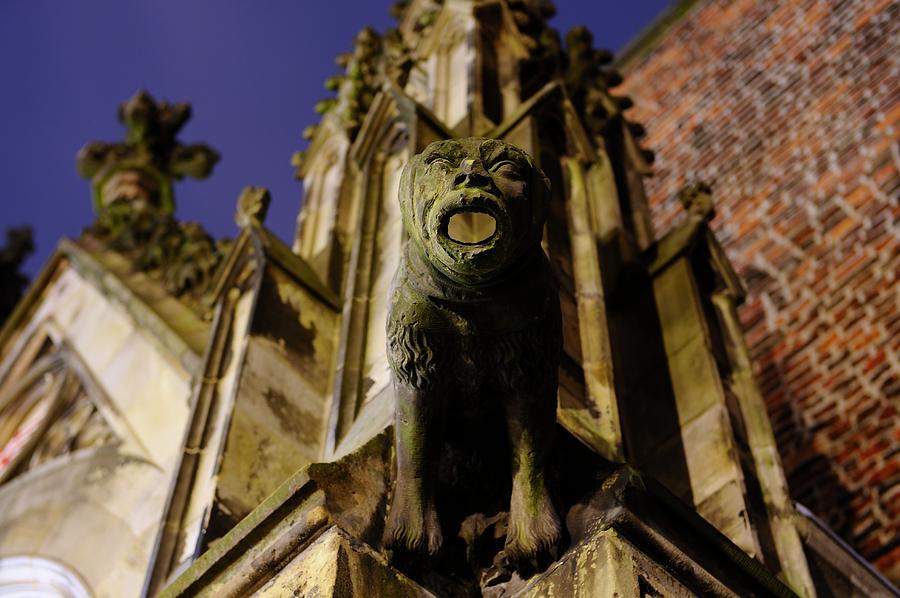 Gargoyle at the Dom Church in Utrecht in the evening 188 Photograph by Merijn Van der Vliet