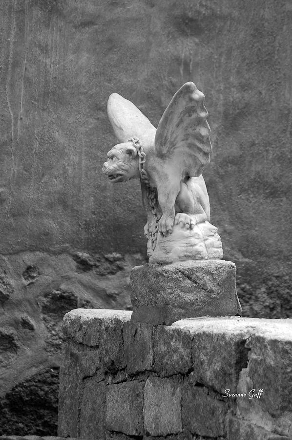 Black And White Photograph - Gargoyle in black and white by Suzanne Gaff