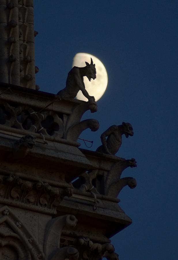 Notre Dame Photograph - Gargoyle Night Watch by Matthew Green