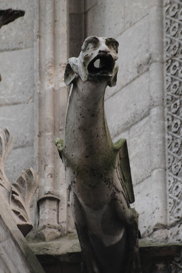 Gargoyle Notre Dame Photograph by Christopher J Kirby