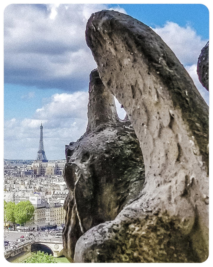 Gargoyle of Notre Dame Photograph by Joe Myeress