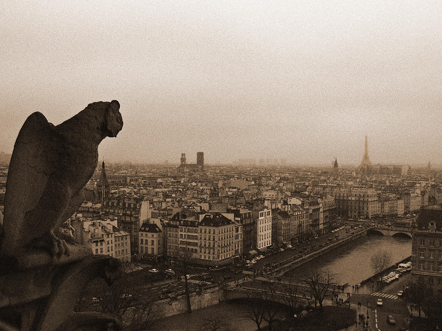 Gargoyle Over Paris Photograph by Mark Currier