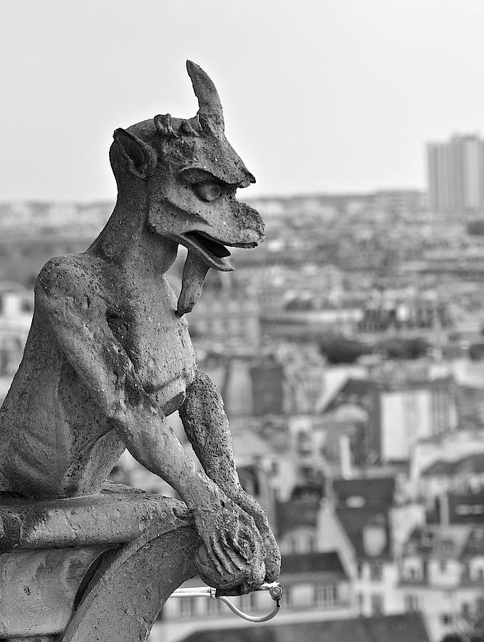 Gargoyle over Paris Photograph by Matt MacMillan