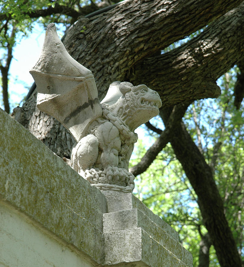 Gargoyle Photograph by Pamela Noyes Fine Art America