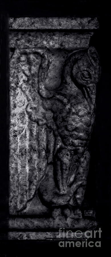 Gargoyle Profile - Right Photograph by James Aiken
