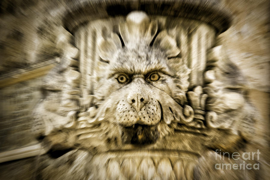 Gargoyle Type Face Photograph by Timothy Hacker