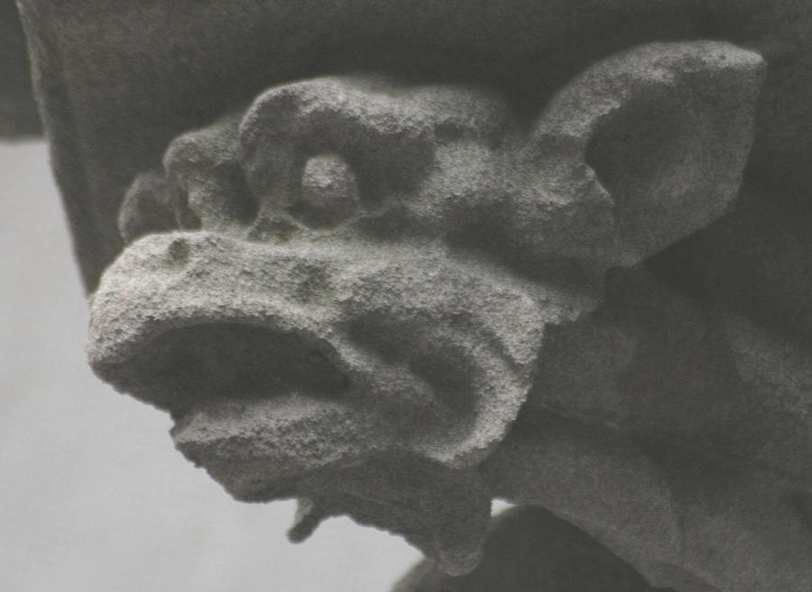 Gargoyle with Gills Photograph by Christopher J Kirby