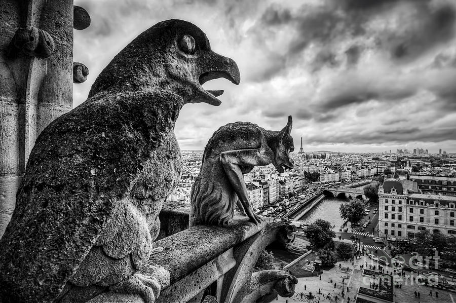 Paris Photograph - Gargoyles and chimera statues of Notre Dame over Paris, France. Black and white by Michal Bednarek