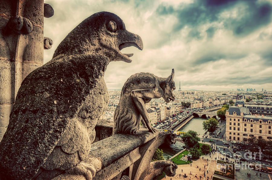 Gargoyles and chimera statues of Notre Dame over Paris, France. Vintage Photograph by Michal Bednarek