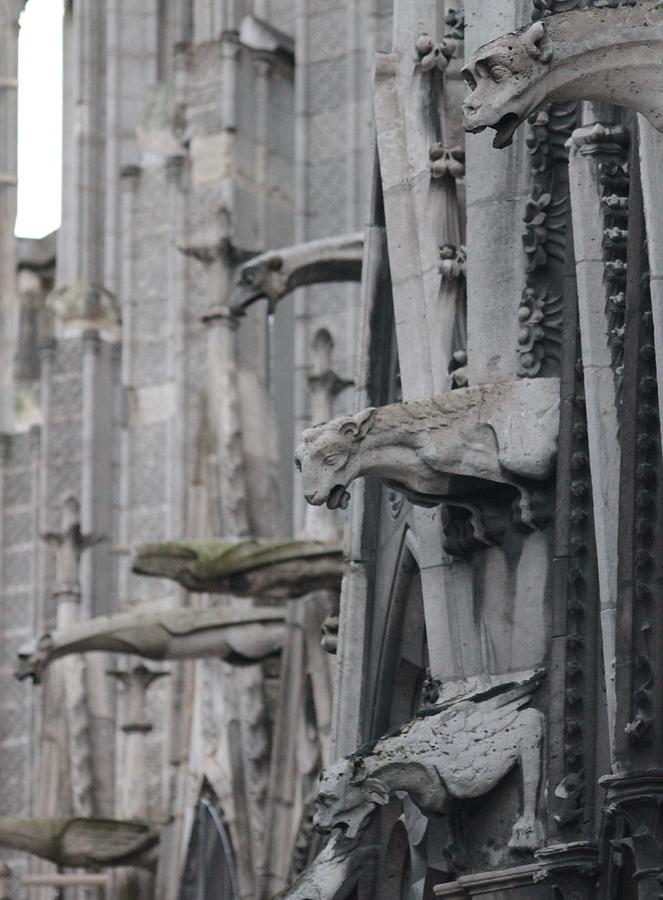 Gargoyles North Notre Dame Photograph by Christopher J Kirby