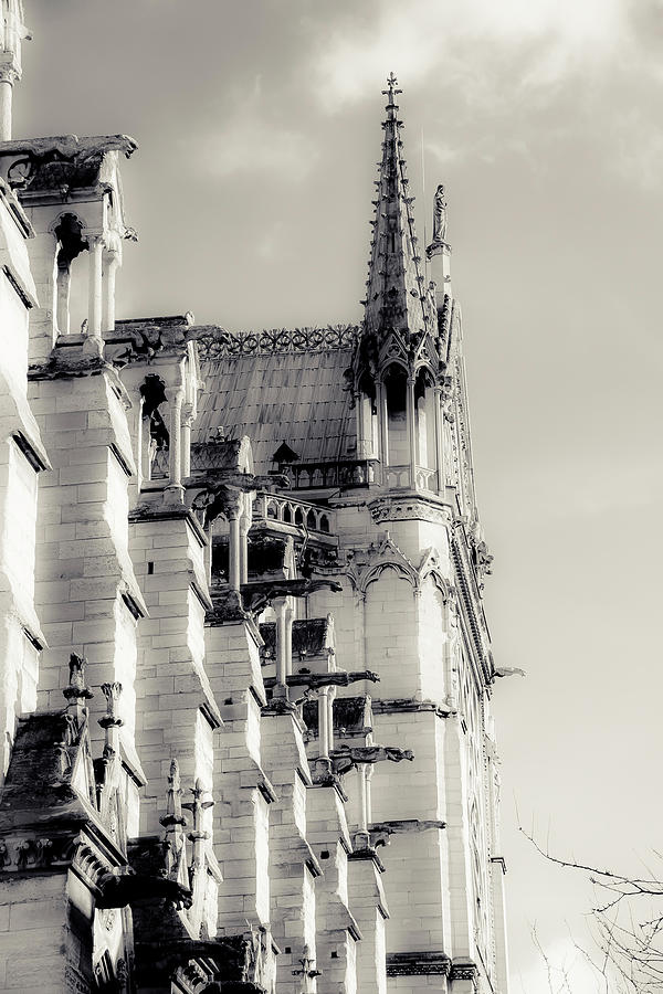 Gargoyles of Notre-Dame Photograph by Christopher Maxum