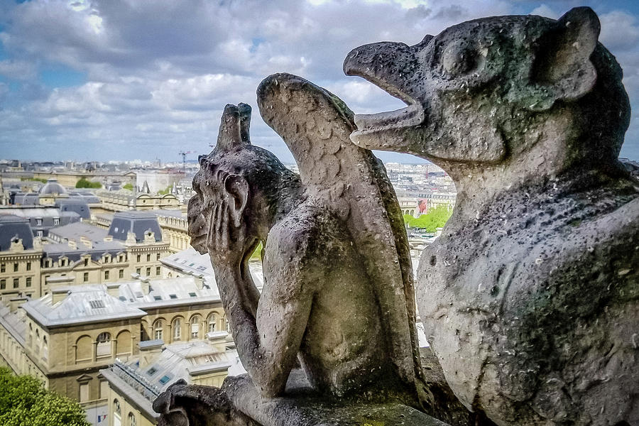 Gargoyles of Notre Dame Photograph by Joe Myeress