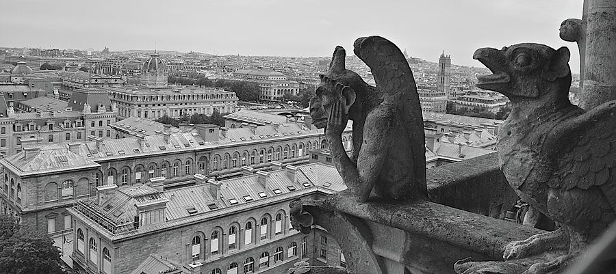 Gargoyles of Notre Dame Photograph by Matt MacMillan