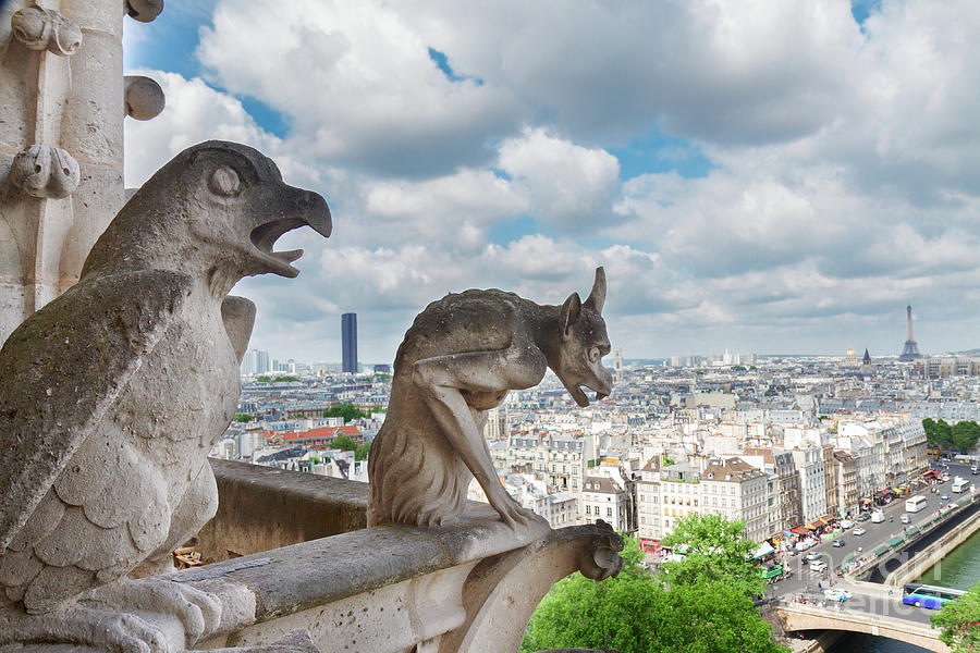 Gargoyles of Paris Photograph by Anastasy Yarmolovich