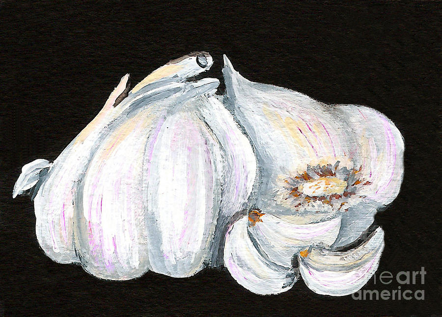 Vegetable Painting - Garlic 1 by Elaine Hodges