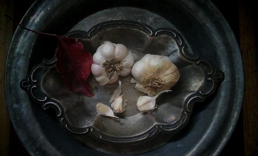 Garlic and silver Photograph by Toni Hopper