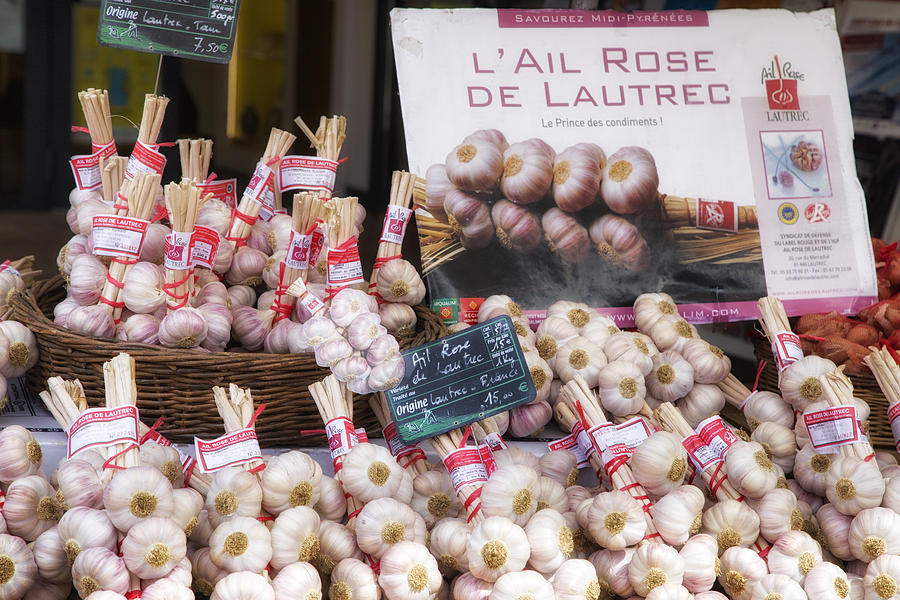 Garlic at a French Market Photograph by Georgia Clare