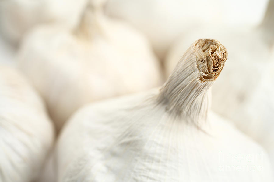 Garlic Bulbs Photograph - Garlic bulbs by Gaspar Avila