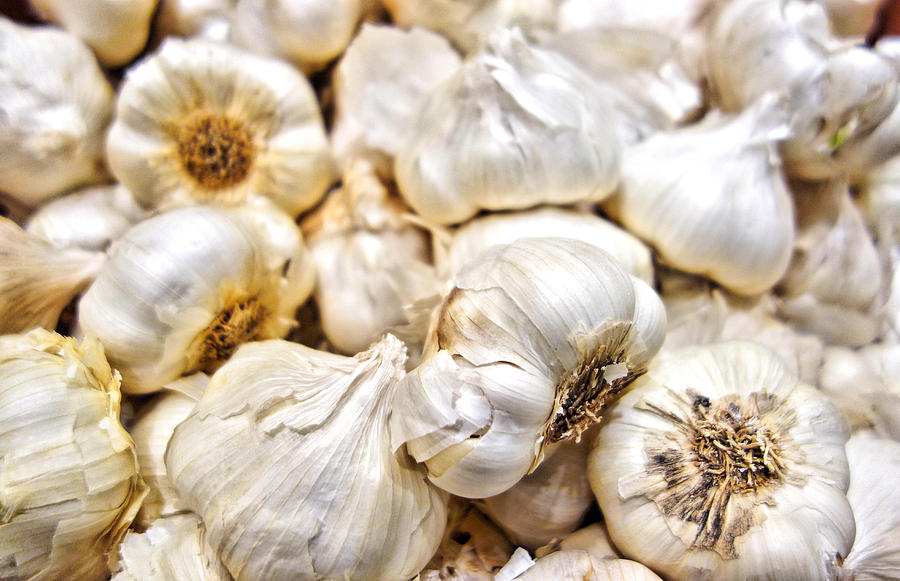 Garlic Cloves Photograph by Robert Meyers-Lussier