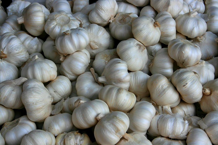 Vegetable Photograph - Garlic by David Dunham