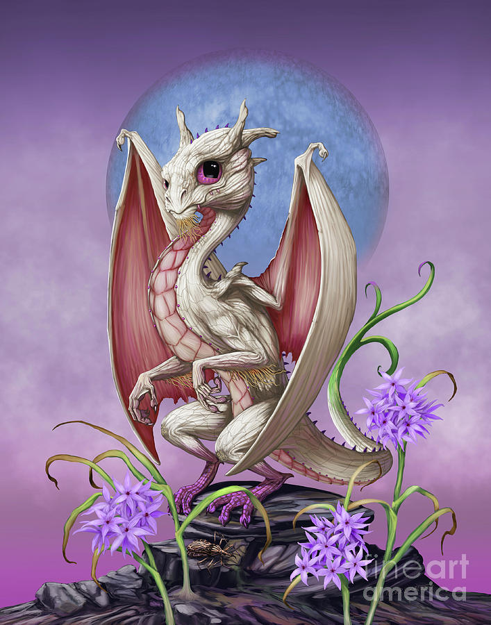 Garlic Dragon Digital Art by Stanley Morrison