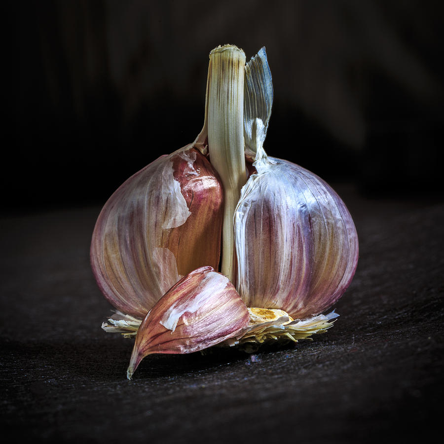 Garlic Photograph by Elmer Jensen