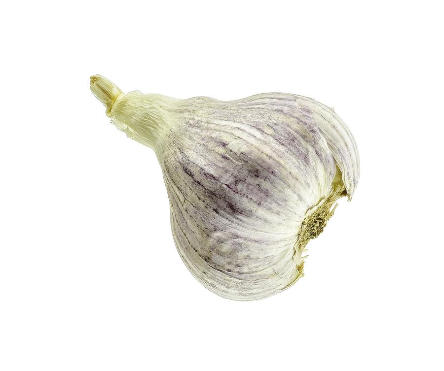 Garlic Head Photograph by Erich Grant