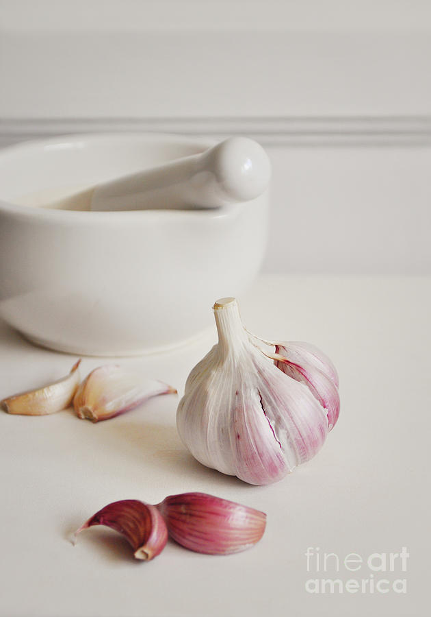 Garlic Photograph by Lyn Randle